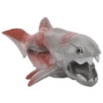 thumbnail image 4 of Simulation de Jouet Animal Jouet Éducatif Simulation de Décoration Modèle Animal Modèle Animal Sûr pour Enfant PL127-1459, 4 of 8