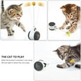 thumbnail image 2 of Shisuyan Pet Swing Car Abs 1Set 2.2X2.5X9.4In, 2 of 9
