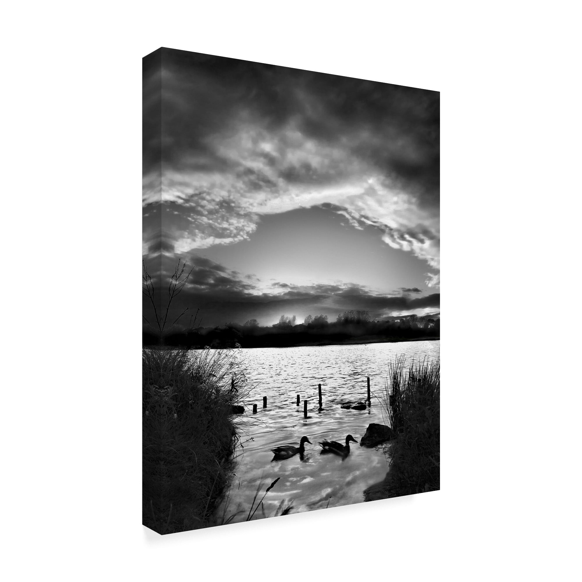 Trademark Fine Art 'Swimming Pool Clouds' Canvas Art by Martin Henson