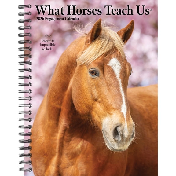 What Horses Teach Us 2026 Engagement Calendar, (Paperback)