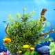 thumbnail image 1 of Prácticas Plantas De Agua De Simulación Plantas De Agua De Simulación De Pecera Para Pecera Acuario Animales Mascotas ANGGREK Otros, 1 of 8