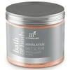 Artnaturals Himalayan Salt Scrub (20 oz/567 g)