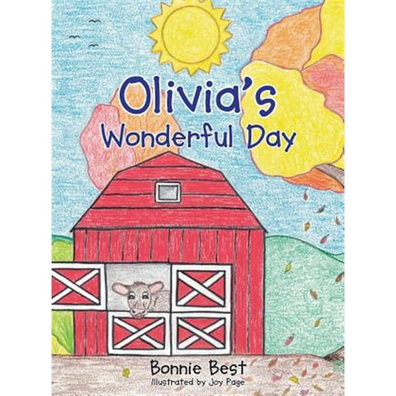 Pre-Owned Olivia's Wonderful Day (Hardcover)