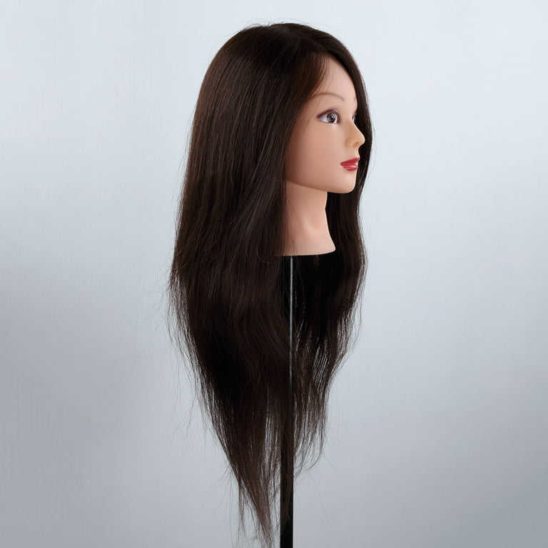 One Qty cosmetology mannequin head with human hair 100% human hair -11-12  tall