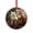 style, variant on Crystal Glass Christmas Ornament Beaver Christmas Christmas Animals Cute Beaver Christmas Glass Decoration Christmas Animals Cute Beaver Holiday Decor And Xmas Gifts Ideas