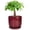 Red, variant on Ordivic 5-inch White Ceramic Round Planter with Drainage Hole and Saucer for Succulents and Cactus