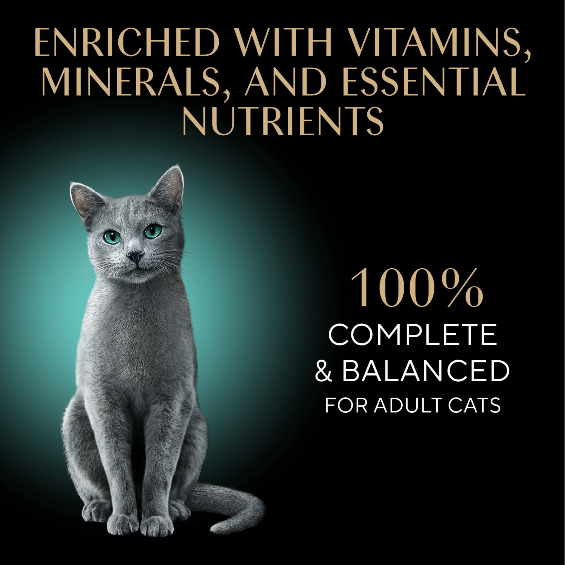(12 pack) Sheba Perfect Portions Wet Cat Food with Sustainable Salmon Cuts in Gravy, 2.6 oz Twin-Pack Trays