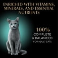 thumbnail image 4 of Sheba Perfect Portions With Sustainable Salmon Cuts In Gravy Cat Food, 2.6 Oz Twin-Pack Trays, 4 of 9