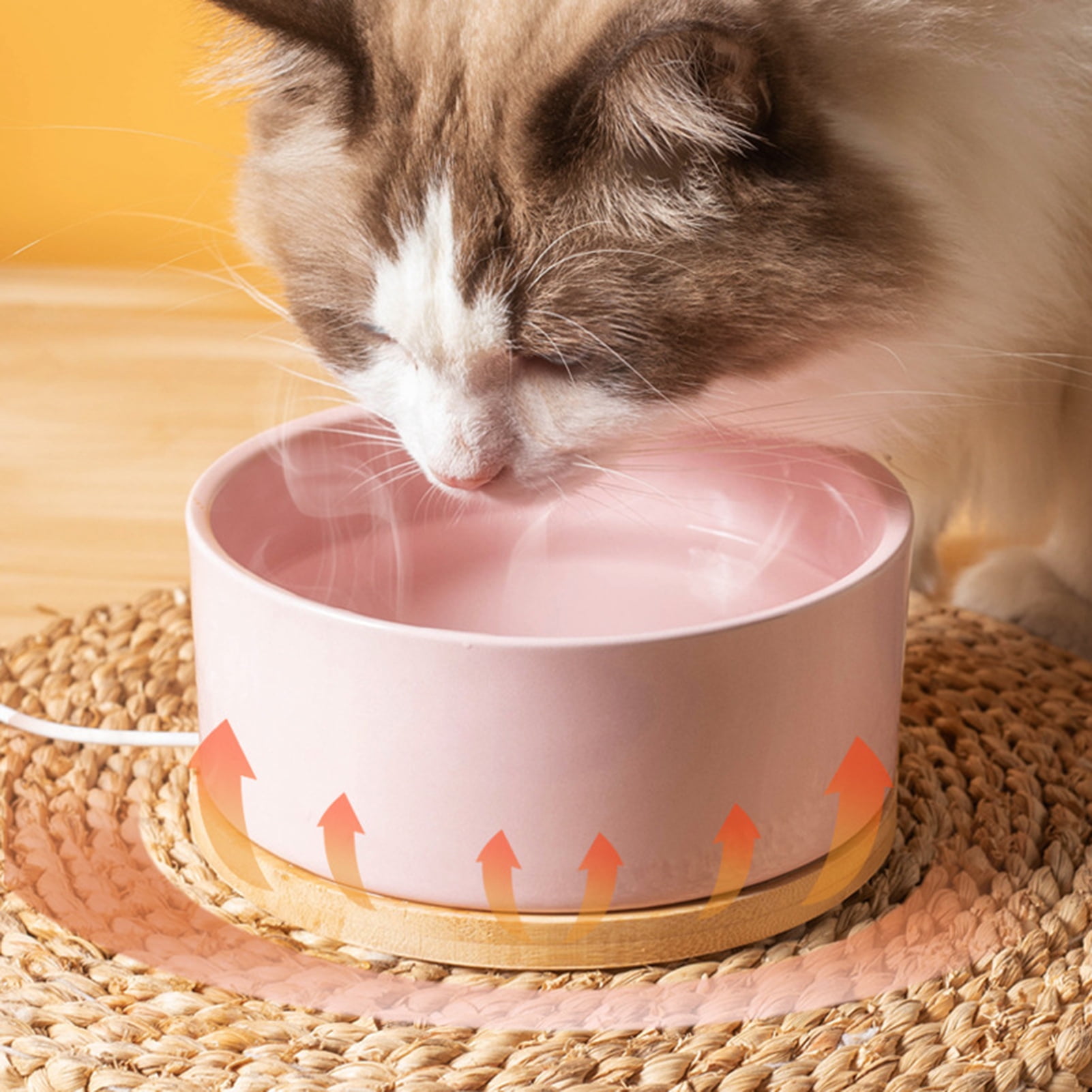 YIFAEUX 350ml Heated Cat Bowl Thermal Pet Water Bowl with Wood Base Heating Electric Ceramic Bowl with Thermostatic Control for Dogs Cats Rabbit