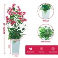 thumbnail image 7 of QinaQin 4FT Artificial Bougainvillea Tree with Lifelike Faux Flowers –UV Resistant Potted Topiary in White Tall Planter – 2-Pack, 120CM White Planter Set, 7 of 7
