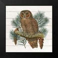 thumbnail image 2 of Kimberly, Allen 12x12 Black Modern Framed Museum Art Print Titled - Owl 2, 2 of 5