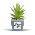 thumbnail image 1 of Super Funny Quote Handwrite Style Fake Pineapple Flower Pot Vase Mini Decor, 1 of 3