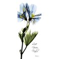 thumbnail image 2 of Geranium - Love Poster Print by Albert Koetsier (10 x 24), 2 of 2