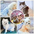 thumbnail image 4 of Dog Dresses for Small Dogs Girl Female Cute Plaid Dog Sundresses Puppy Cat Skirt Doggie Birthday Party Princess Dresses Pet Summer Clothes Apparel Costumes, 4 of 8