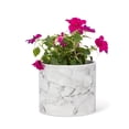 thumbnail image 1 of Ensemble de 1 Petit Pot Aspect Marbre, 1 of 1