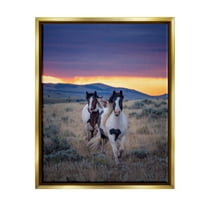 Stupell Industries Spotted Horses at Sunrise Animals & Insects Photography Gold Floater Framed Canvas Art Print Wall Art, 25 x 31