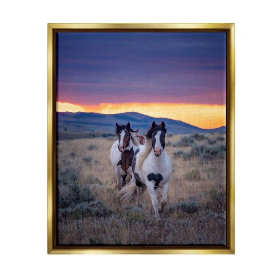 Stupell Industries Spotted Horses at Sunrise Animals & Insects Photography Gold Floater Framed Canvas Art Print Wall Art, 25 x 31