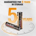 thumbnail image 3 of Alkaline Battery EverBrite High Performance 64pcs 32 AAA 32 AA, 3 of 8