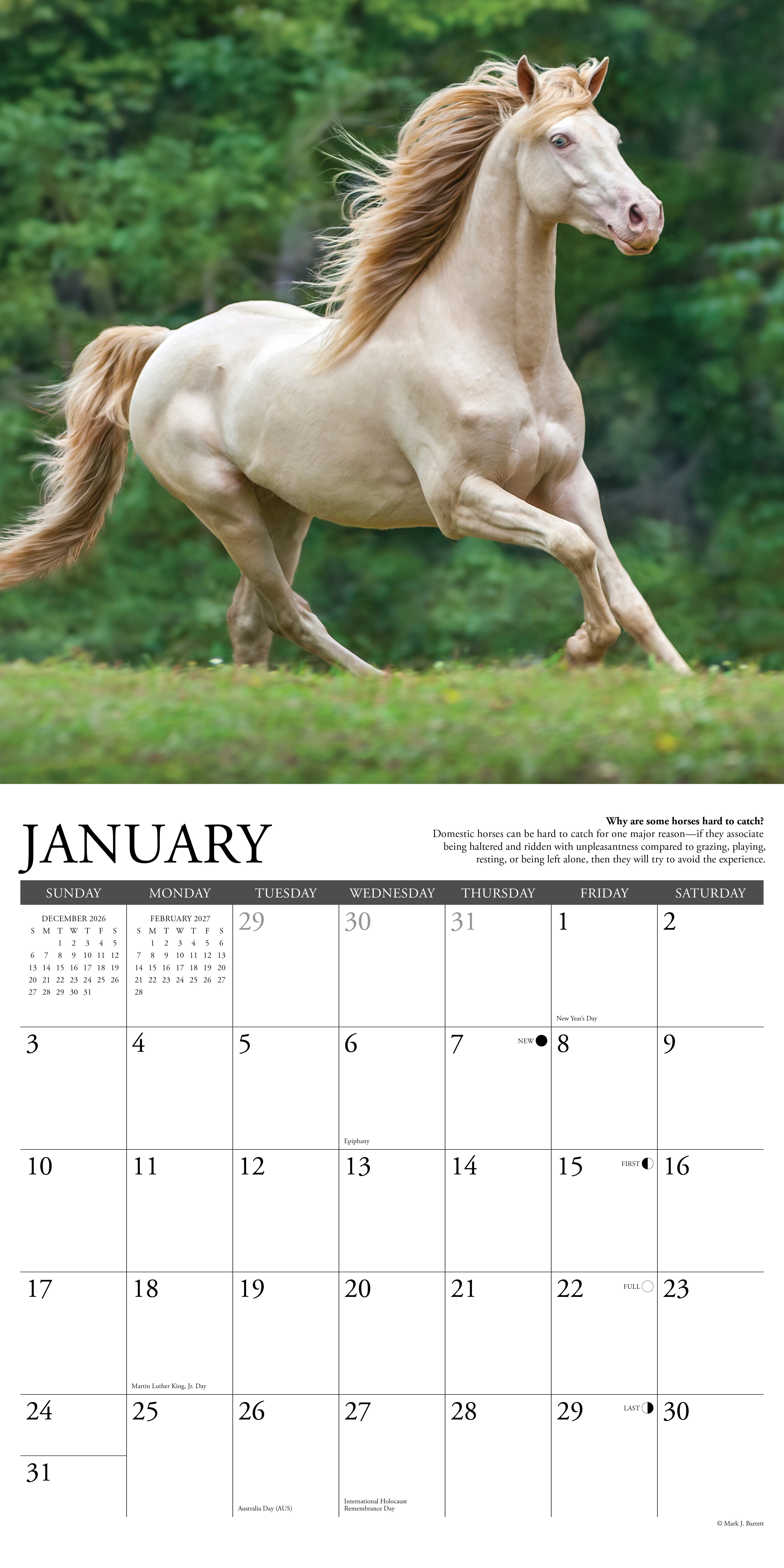 Willow Creek Press, Why Horses Do That 2027 Wall Calendar