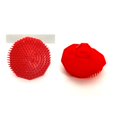 thumbnail image 2 of Brosse à Shampooing SAINT JAMES (Lot de 2), 2 of 3
