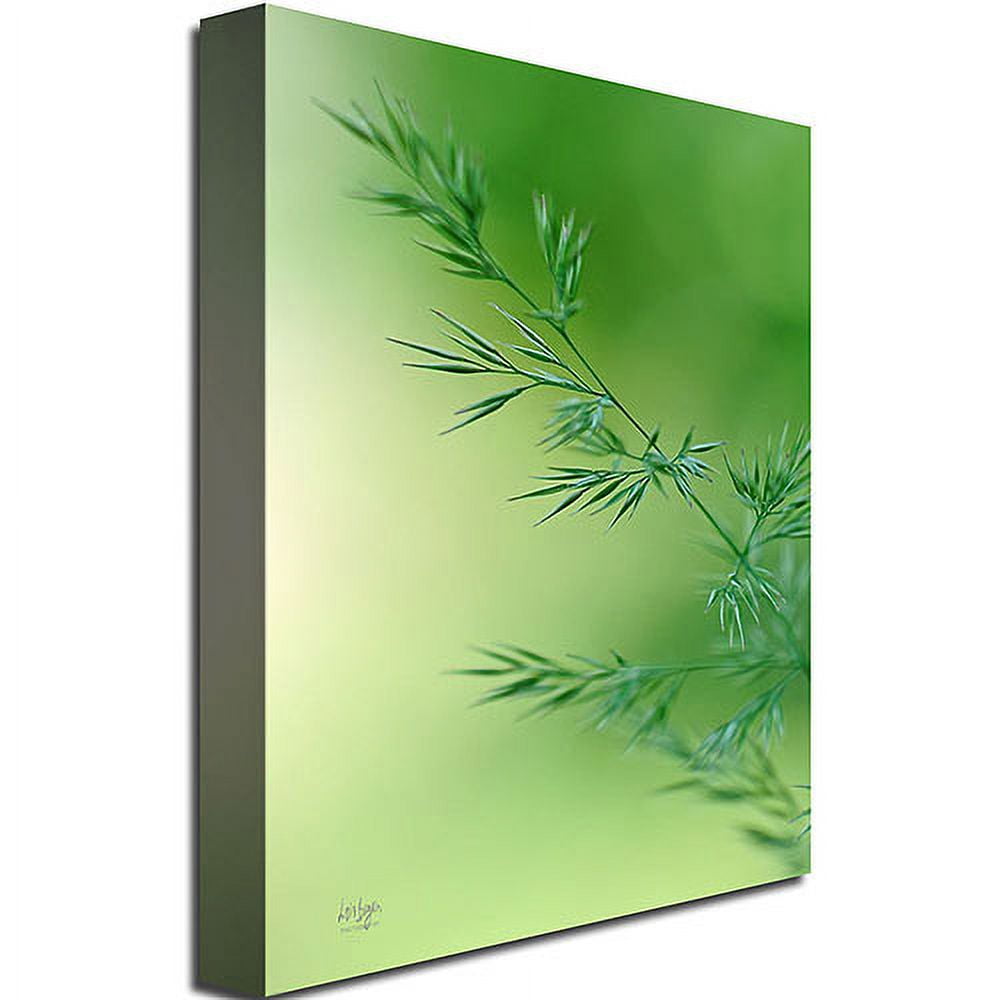 Trademark Fine Art "Keep Green" Canvas Wall Art by Lois Bryan