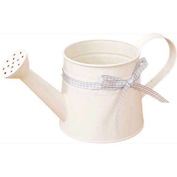 Watering Can 1L, Galvanized Steel Indoor Outdoor Plant Waterer with Long Spout (Beige)DSF
