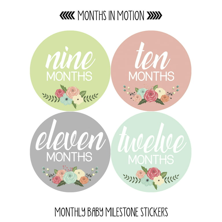 Baby Monthly Milestone Stickers - First Year Set of Baby Girl Month Stickers for Photo Keepsakes - Shower Gift - Set of 20