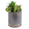 thumbnail image 1 of Vickerman Conteneur Rustique en Étain de 9 Pouces avec une Variété de Plantes Succulentes -F12202, 1 of 1