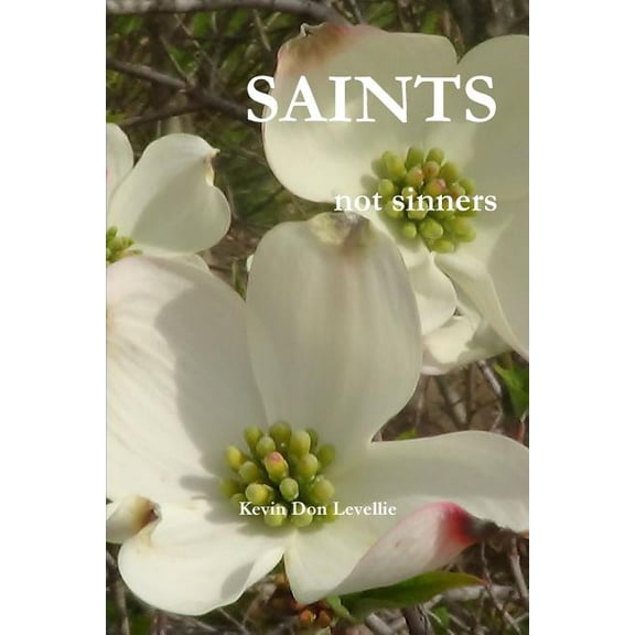 SAINTS not sinners, (Paperback)