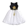 thumbnail image 2 of LYHaoo Toddler Girls Mesh Tutu Dress Cute Sleeveless Princess Party Dresses,Girls A Line Dresses Sizes 3-4 Years Black, 2 of 6