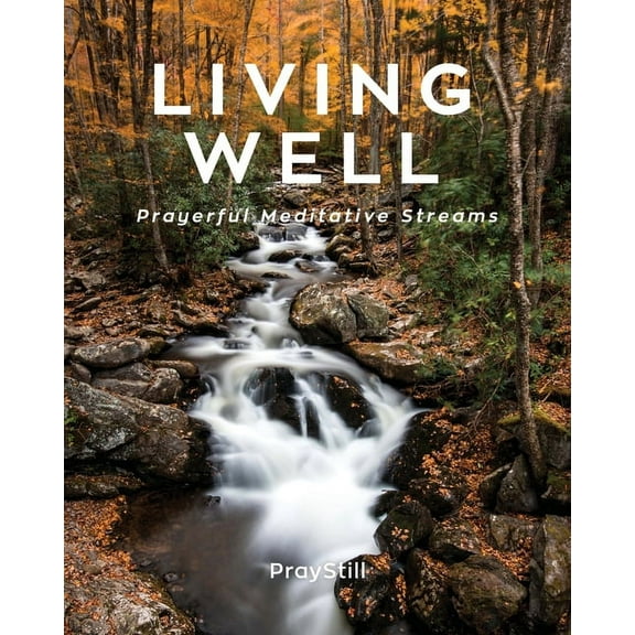 Living Well: Prayerful Meditative Streams (Paperback)