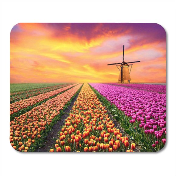 POGLIP Magical Landscape Sunrise Over Tulip Field in The Netherlands Mousepad Mouse Pad Mouse Mat 9x10 inch