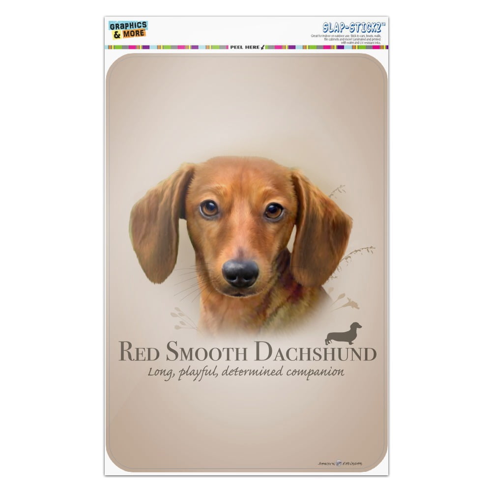 Dachshund Dog Breed Ceiling Fan Pull Chain - Red Wiener Dog Design With Ball Chain