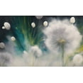 thumbnail image 4 of Stephen Chambers 24x16 White Modern Wood Framed Wall Art Titled - Dreamingly Beautiful 9, 4 of 6