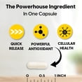 thumbnail image 3 of Mason Natural Alpha Lipoic Acid Supports Energy Production, 60 Capsules, 3 of 8