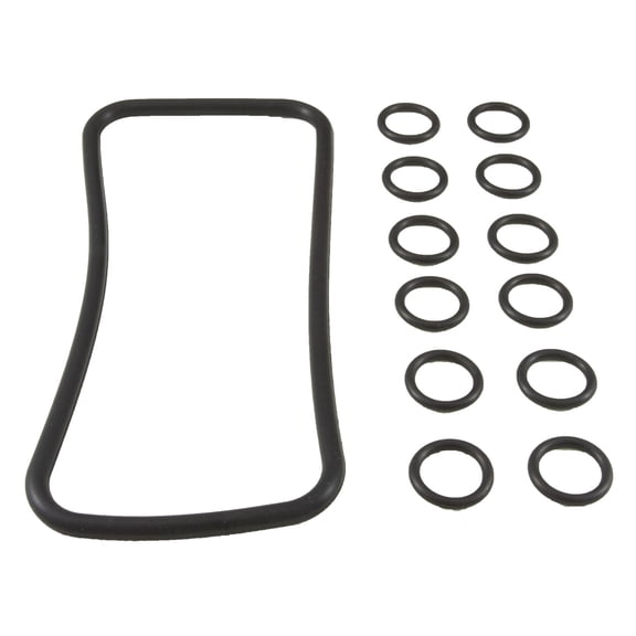 Pentair Aquatic Systems 77707-0120 Manifold O-Ring
