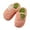 Watermelon Red, variant on Otqutp Boys Girls Winter Home Shoes Comfy Warm Cozy Soft Plush-Lined Slip-on Slippers Kids Memory Foam Bedroom Slides
