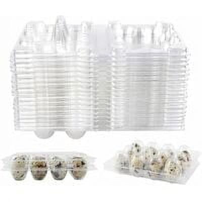 100 Piezas Caja de Huevos de Codorniz de 12 Rejillas Cajas de Huevos de Codorniz Caja de Almacenamiento de Huevos Reutilizable Caja de Almacenamiento Transparente para Nevera Mini Dispensador de