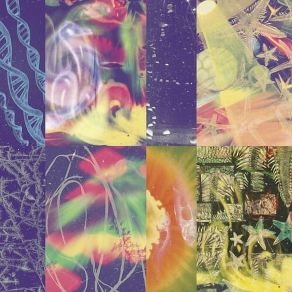 Nap Eyes - The Neon Gate - Music & Performance - Vinyl