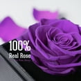 thumbnail image 2 of Otuo Preserved Roses Gift Jewerlry Box, Real Eternal Rose Flower with Necklace, Gifts for Girlfriend, Mom, Women, Wife, Birthday and Mothers Day (Purple), 2 of 7