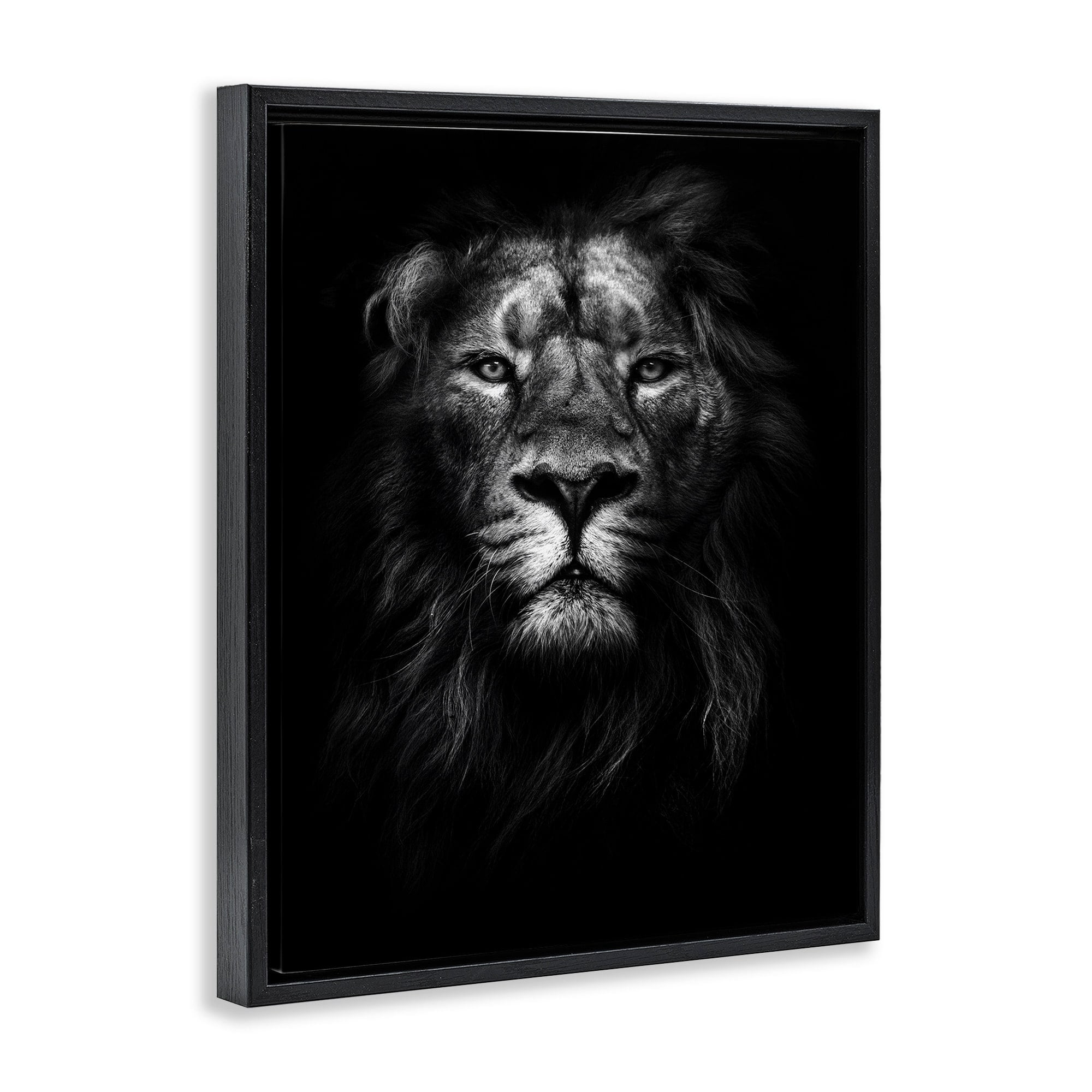 Stupell Industries King of the Jungle Lion In Shadows Black and White Photography Jet Black Framed Floating Canvas Wall Art, 16x20, by Design Fabrikken