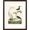 thumbnail image 2 of Art.com Heron Family II Art Print by A^ Wilson, Brown Frame Wall Art, 32" x 40", 2 of 5