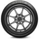 thumbnail image 2 of Llanta 255/45R19 100Y Pirelli P Zero, 2 of 3