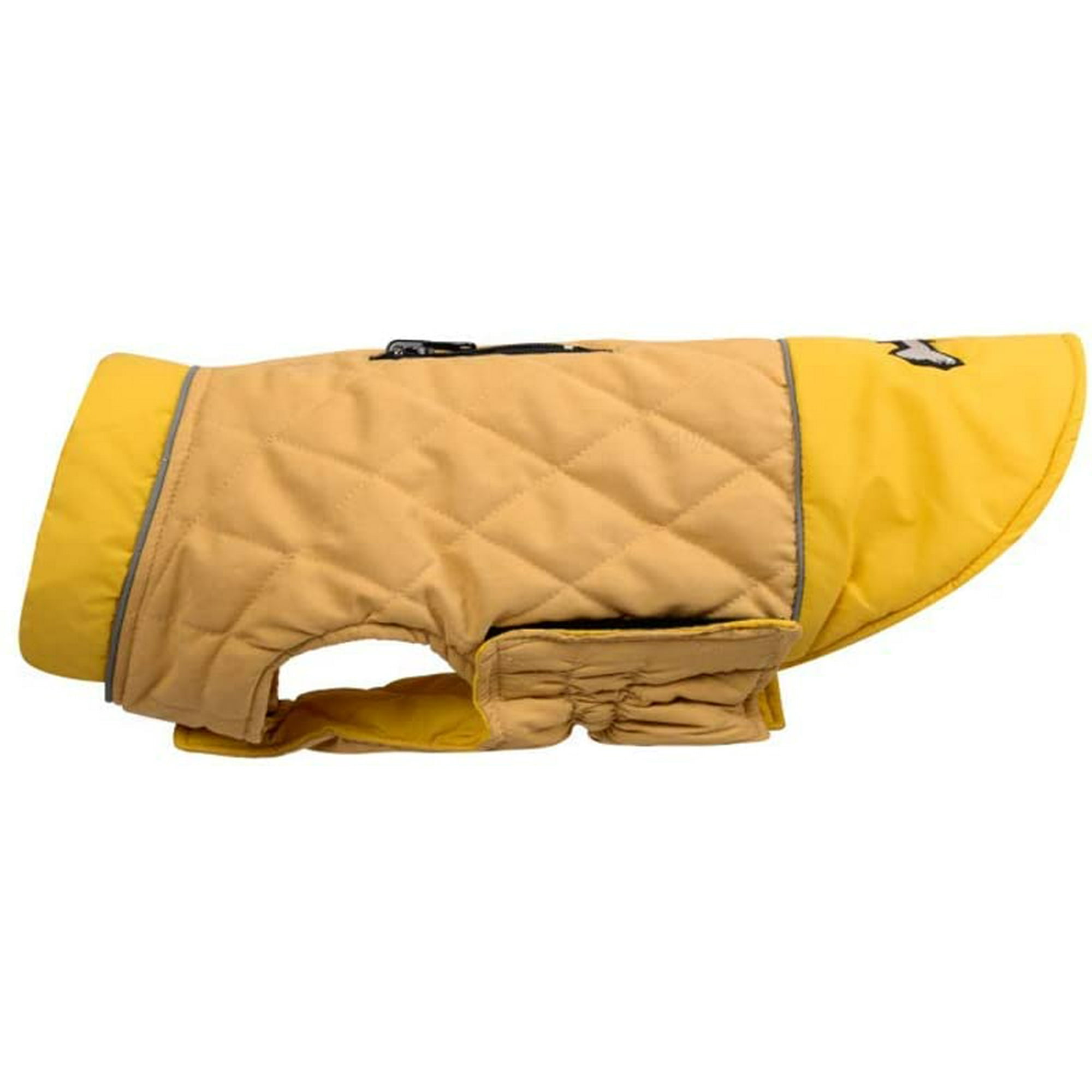 What Does A Dog With A Yellow Coat Mean