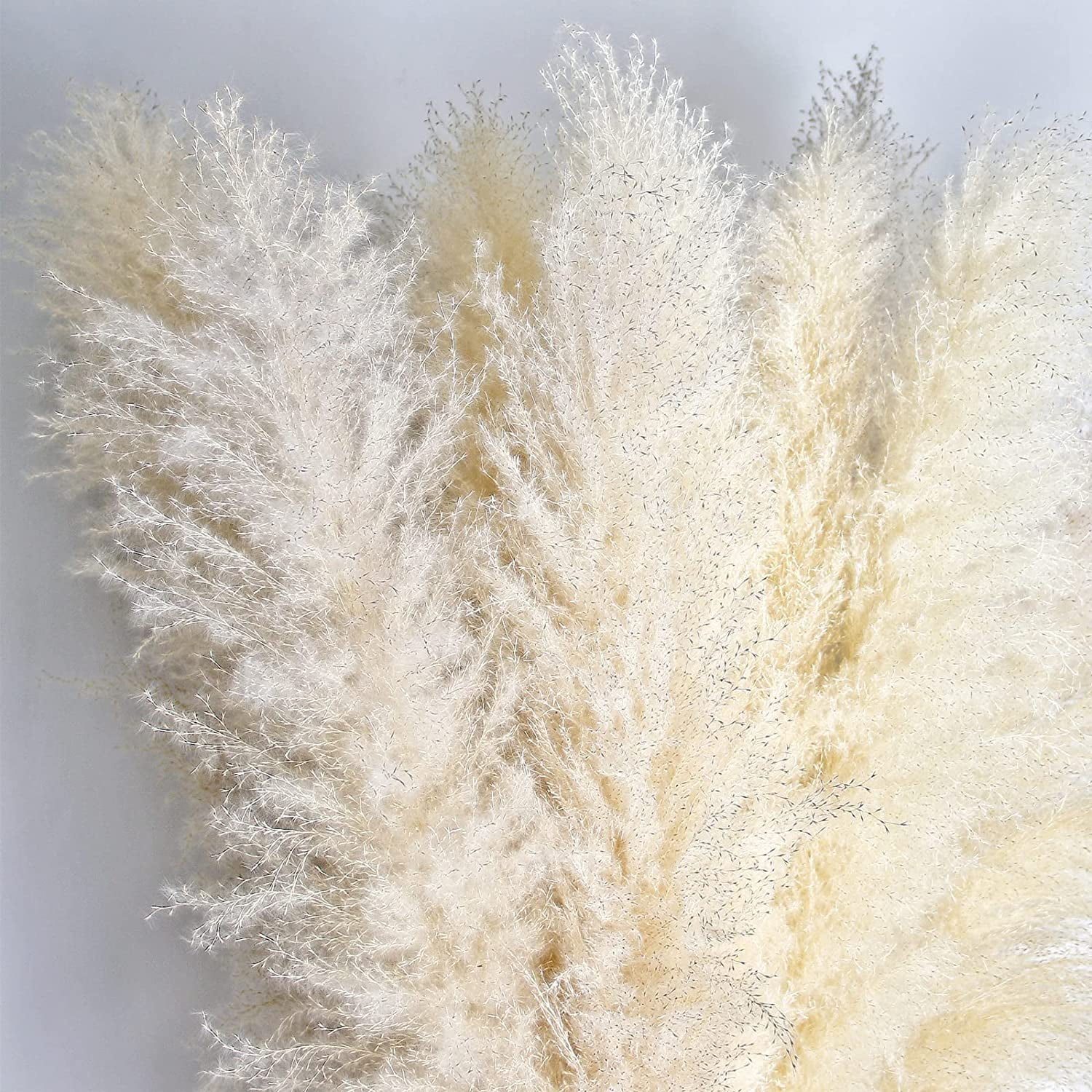 46" inch 10 Stems Natural Pampas Grass Decor Tall, Pompas Grass, Tall Pampas Grass for Weddingm, Farmhouse, Boho Home Decor (Ivory)