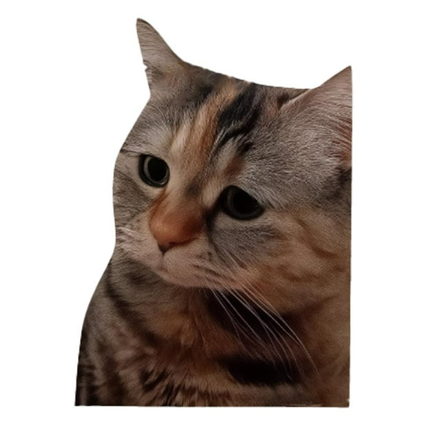 Cute and Funny Cat Expression Personalized Creative Stickers G4I5 STOCK IN
