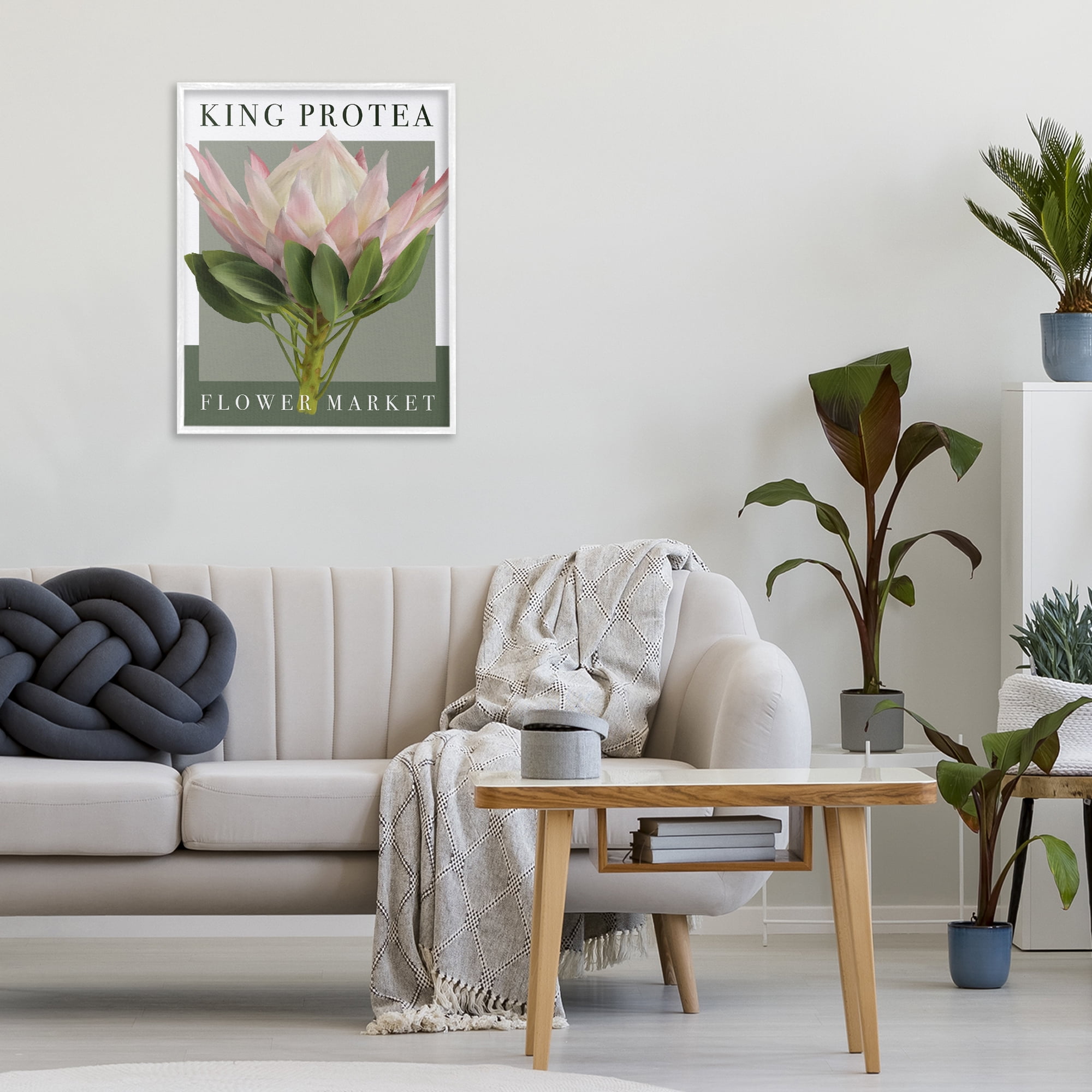 Stupell Industries King Protea Flower Market White Framed Giclee Art, design by Jennifer Stith
