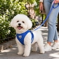 thumbnail image 3 of Dog Harness, Breathable Mesh No Pull Black X-Small, 1 Pack Reflective Step In Pet Vest Harness with Leash Set, for Walking Training Outdoor Activities for Small Puppy Cats Pets, 3 of 7