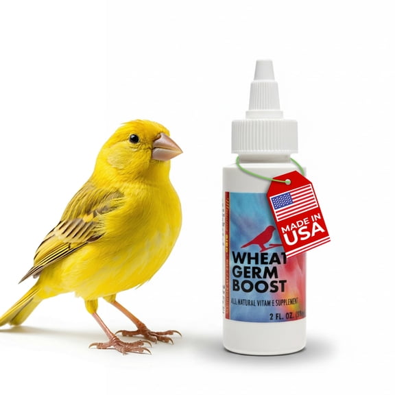 Morning Bird Wheat Germ Boost Bird Supplement, Organic Oil, 2 fl oz