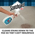 Scotchgard OXY Carpet & Fabric Spot & Stain Remover (26 oz)